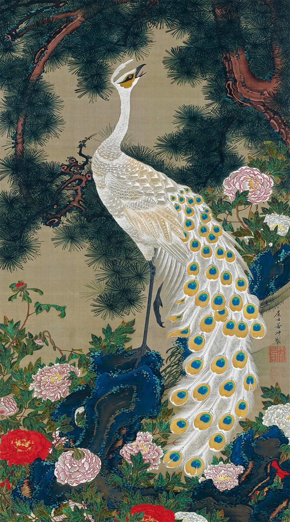 White peacock on a rock beneath a pine, among peonies